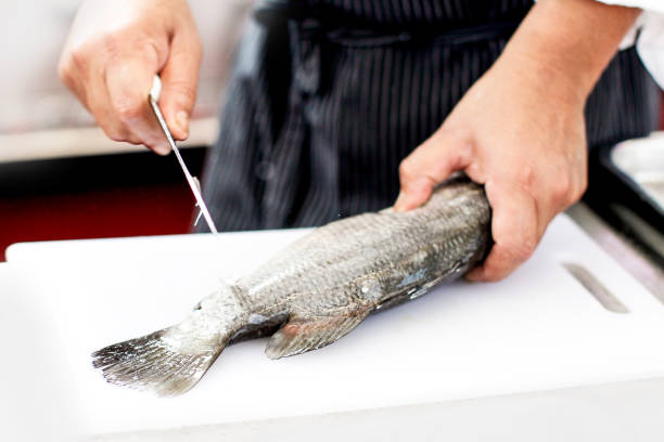 chef at work, chef filleting fish at the kitchen, Chef in restaurant kitchen filleting fish