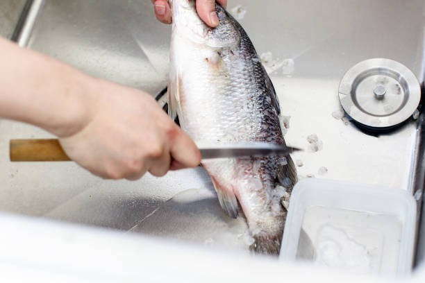 istock chef at work, chef filleting fish at the kitchen, Chef in restaurant kitchen filleting fish 1141900188