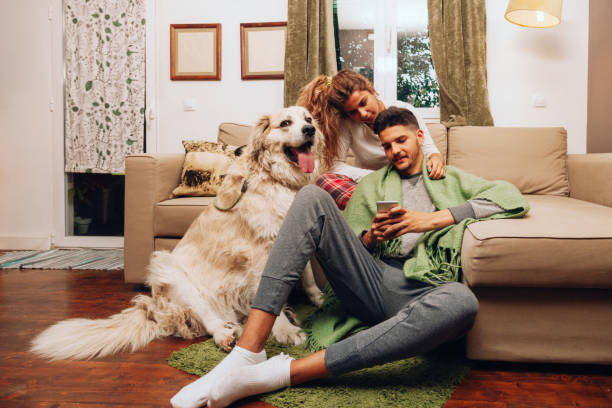 istock Young smiling couple together on sofa whit their dog 1141904606