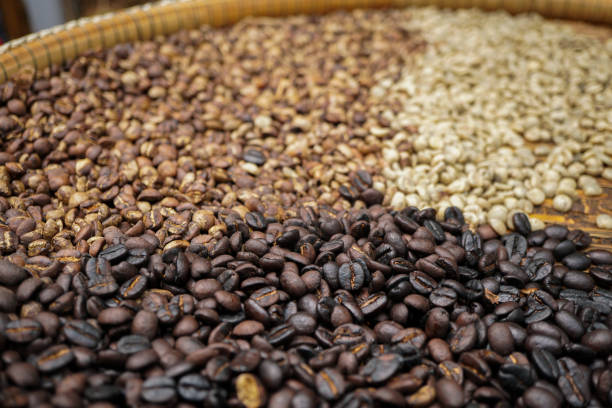 istock Raw and roasted three colour coffee bean in basket. 1141907499