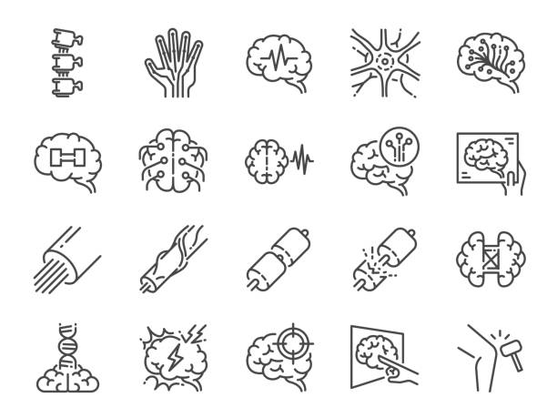 illustrazioni stock, clip art, cartoni animati e icone di tendenza di set di icone della linea di neurologia. incluse icone come neurologico, neurologo, cervello, sistema nervoso, nervi e altro ancora. - mri scan human nervous system brain medical scan