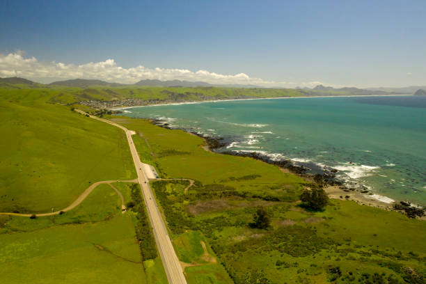 istock Aerial view of shore with green plants 1141912502