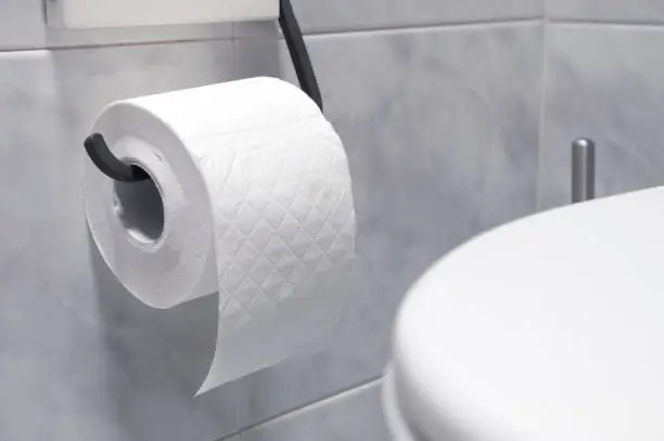 Photo of Roll of toilet paper in a tiled bathroom