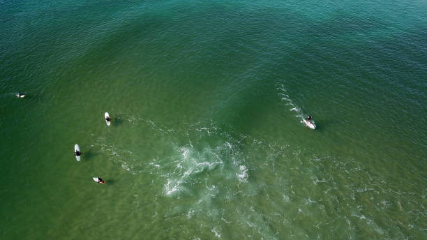 istock Aerial views of stand up paddle boards. 1141930724