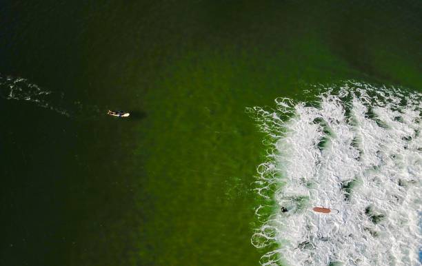 istock Aerial views of stand up paddle boards. 1141932062