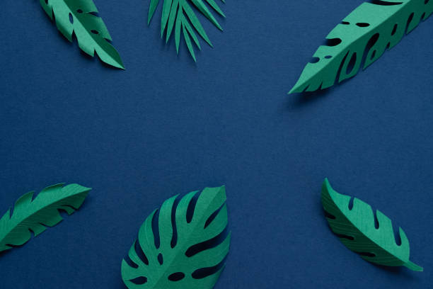 istock tropical leaves cut from paper on a blue background. 1141932462