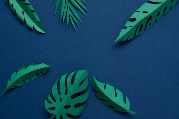 istock tropical leaves cut from paper on a blue background. 1141932471
