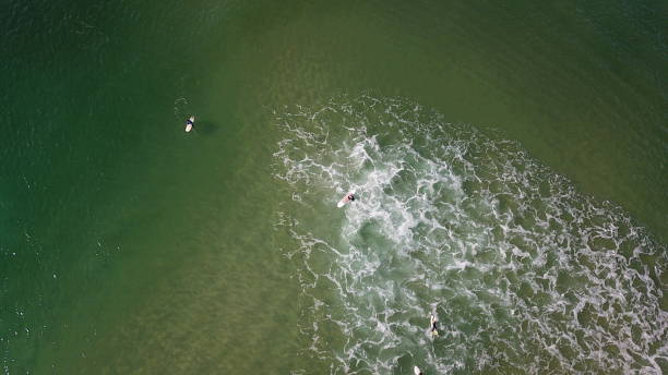 istock Aerial views of stand up paddle boards. 1141932473