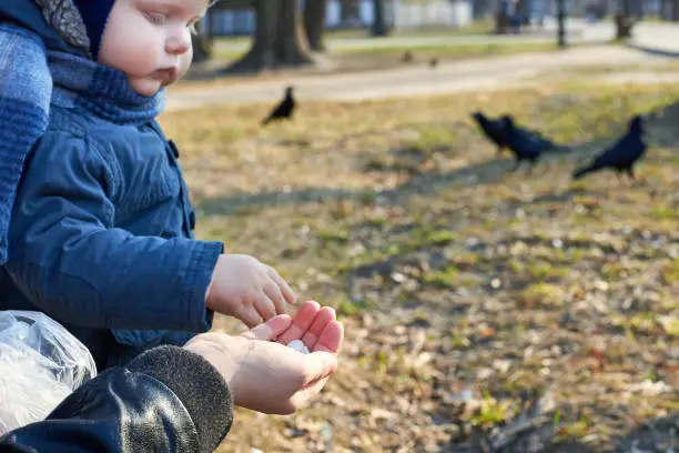 Photo of A child takes pumpkin seeds from her mother's hand to feed the birds in the park in early spring