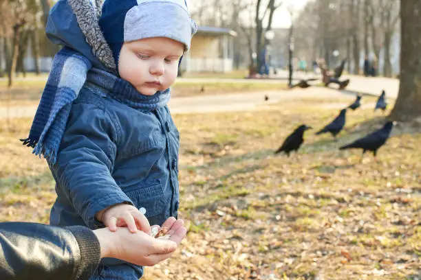 Photo of A child takes pumpkin seeds from her mother's hand to feed the birds in the park in early spring