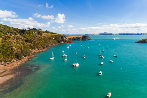 Waiheke island, Auckland Region, New Zealand.