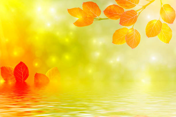 autumn landscape with bright colorful leaves. Indian summer.