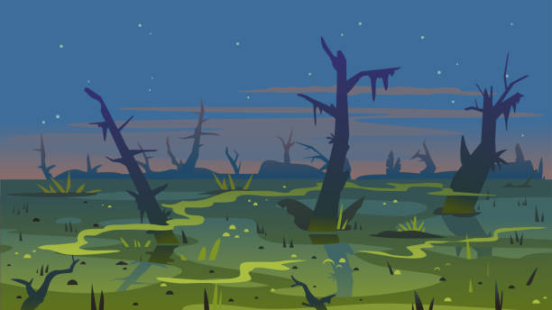 2,838 Cartoon Swamp Illustrations & Clip Art - iStock