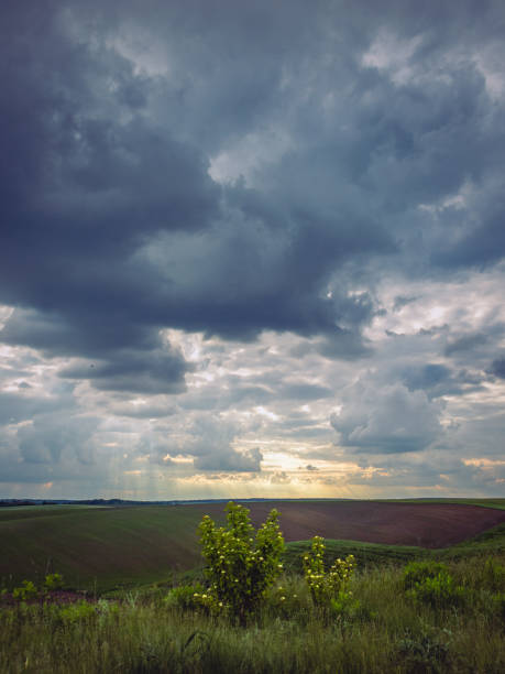 istock Fields landscape in summer sunset and sunrise 1141944017