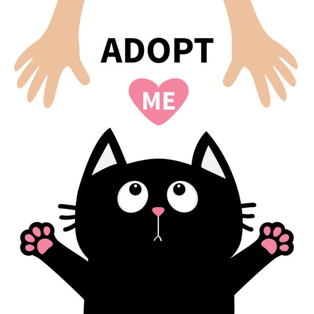 Black Cat Face Looking Up To Human Hand Paw Print Hug Cute Cartoon Funny  Character Kawaii Animal Adopt Me Pink Heart Helping Hands Concept Love Card  Flat Design White Background Isolated Stock