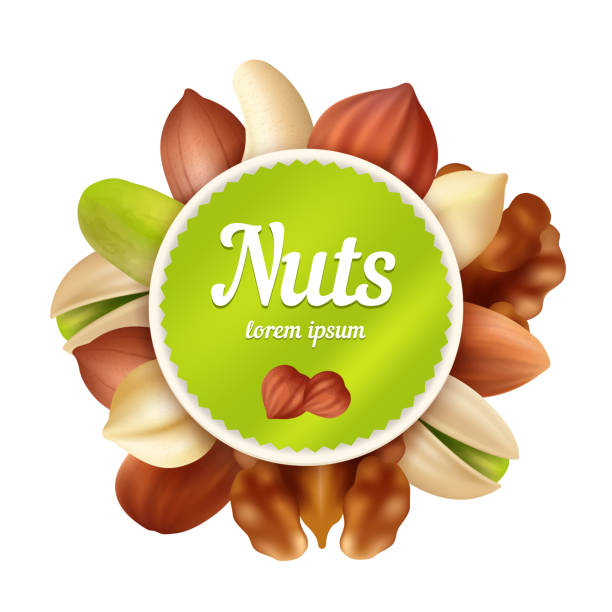 орехи фон. здоровое питание закуски и арахис коллекции с местом для шаблона дизайна вектор текста - nut walnut almond brazil nut stock illustrations