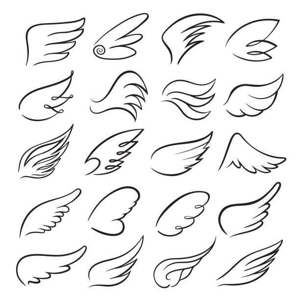 Wings icon set, bird drawing in motion Wings icon set, bird drawing in spread and motion. Angel shape element. Vector line art illustration isolated on white background angel wings drawing stock illustrations
