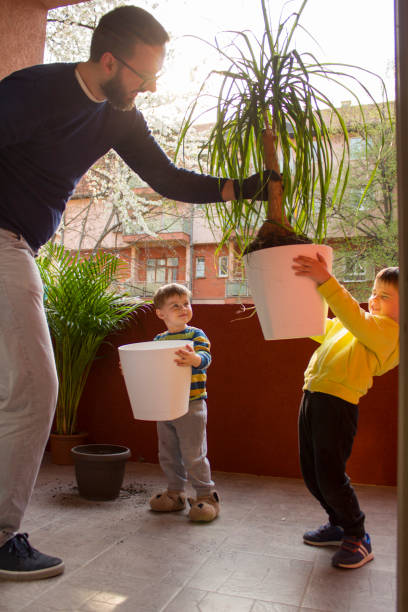 istock Big Plant Into Big Pot 1141949151