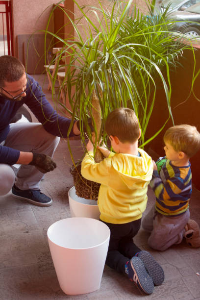 istock Learning To Take Care Of Plants 1141949973