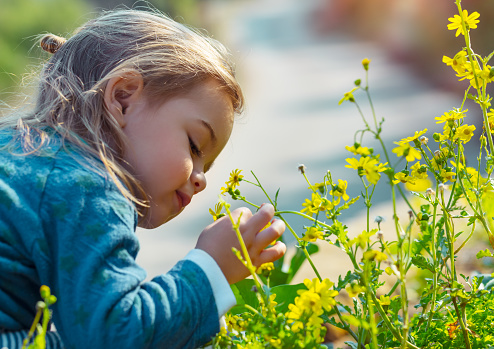 Little boy enjoying flowers aroma, with pleasure with closed eyes smelling gentle yellow wild flowers, enjoying beauty of fresh spring nature