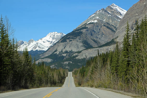 istock Hills on Icefield Parkway 1141952401