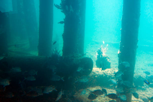 istock View from the Underwater Observatory, Busselton Jetty, WA, Australia 1141952979