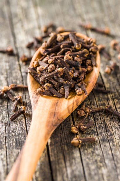 istock Carnation, dried clove spice. 1141953631