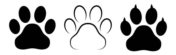 Different animal paw print vector illustrations Different animal paw print silhouette isolated vector illustrations paw stock illustrations