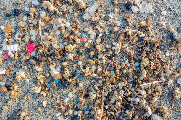 Microplastics found on the shore of a beach in Lanzarote. Sea pollution by plastic, Canary Islands stock photo