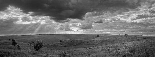istock Fields landscape in summer sunset and sunrise 1141960008