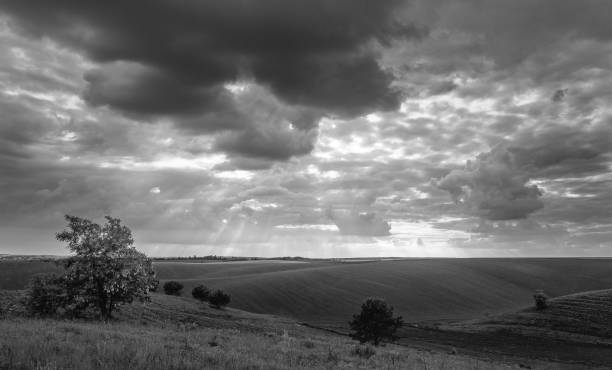 istock Fields landscape in summer sunset and sunrise 1141960401