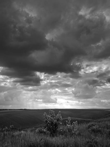 istock Fields landscape in summer sunset and sunrise 1141961129