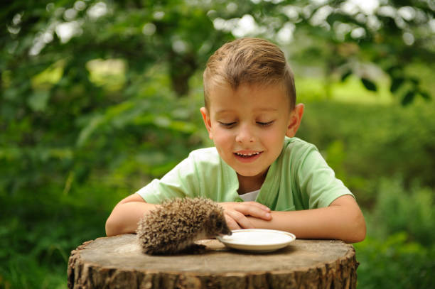 istock A boy and a hedgehog in the nature . 1141962021