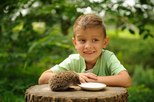 istock A boy and a hedgehog in the nature . 1141962124