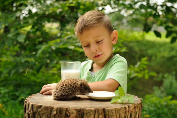 istock A boy and a hedgehog in the nature . 1141962250