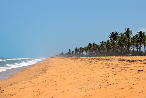 Badagry, Nigeria: golden sand beach with coconut trees - Gulf of Guinea