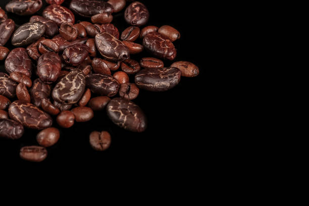 istock Roasted beans. Cocoa beans and coffee beans isolated on black background. 1141969806