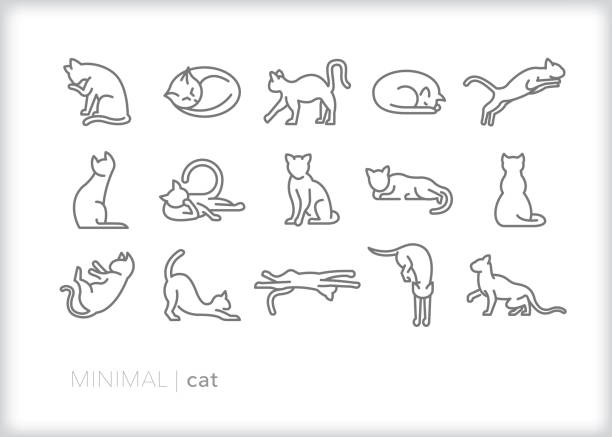 illustrations, cliparts, dessins animés et icônes de icônes de ligne de chat des animaux félin, intérieur ou extérieur, dans diverses actions - grooming