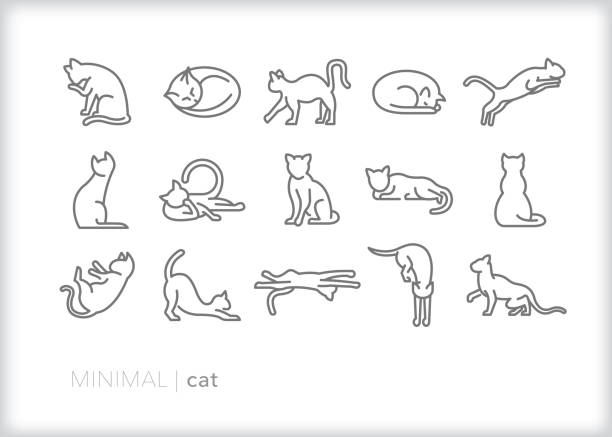 Cat line icons of feline pets, indoor or outdoor, in various actions Set of 15 cat line icon of house cats or feral felines sleeping, jumping, walking, cleaning, stretching, lounging and playing cats stock illustrations