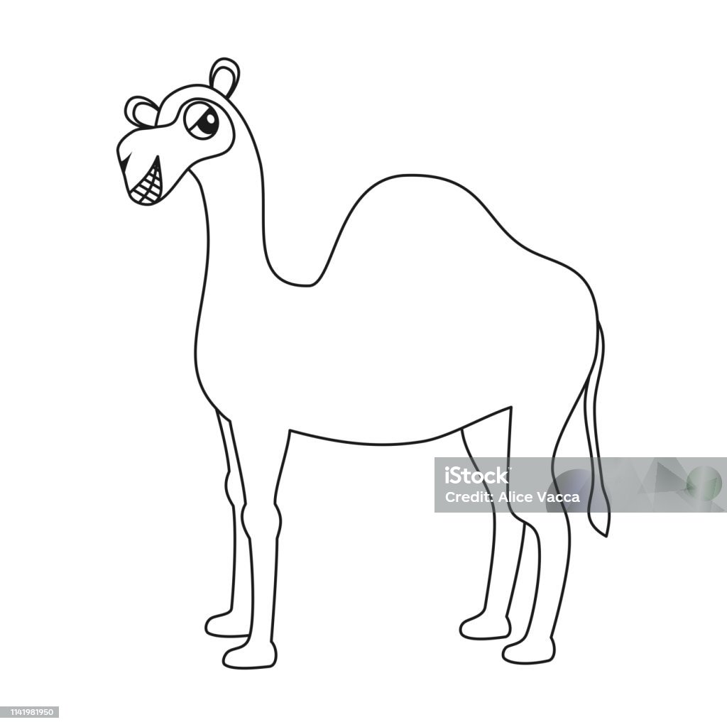 cute cartoon camel dromedary black and white vector illustration for coloring art Adventure stock vector