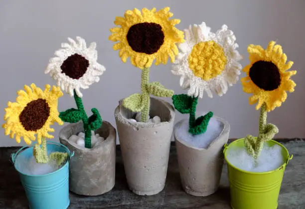 Amazing five flower vase on table make from craftsmanship by knit art from yarn, white and yellow sunflower with green leaves in jar so nice for decoration home, beautiful woolen flora in front view