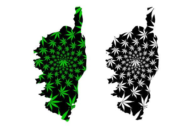 illustrazioni stock, clip art, cartoni animati e icone di tendenza di corsica - mappa è progettato foglia di cannabis - ajaccio