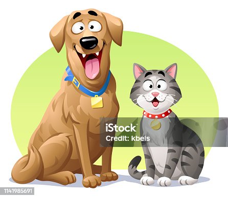 istock Cat And Dog 1141985691