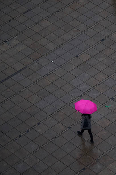 istock Person walking under pink umbrella, during rainy day 1141985776