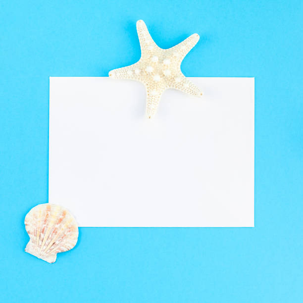 istock Summer travel vacations concept 1141986892