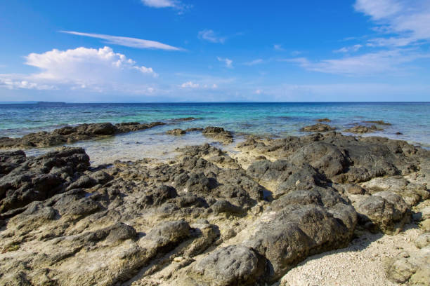 istock coastline  with rocks  and beautiful reef in raja ampat archipelago 1141987567