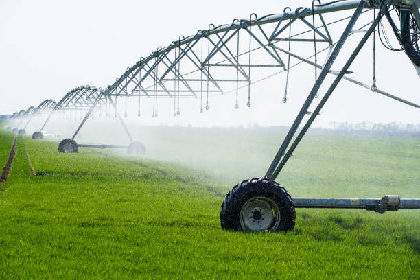 istock Center Pivot Irrigation System in a green Field 1141995922