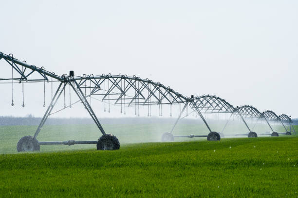 istock Center Pivot Irrigation System in a green Field 1141995993