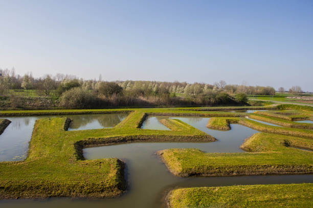 istock Dutch nature reserve with green landscape and long calm river. 1141996142
