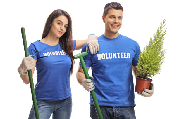 istock Young volunteers with tools and a plant posing 1141996612